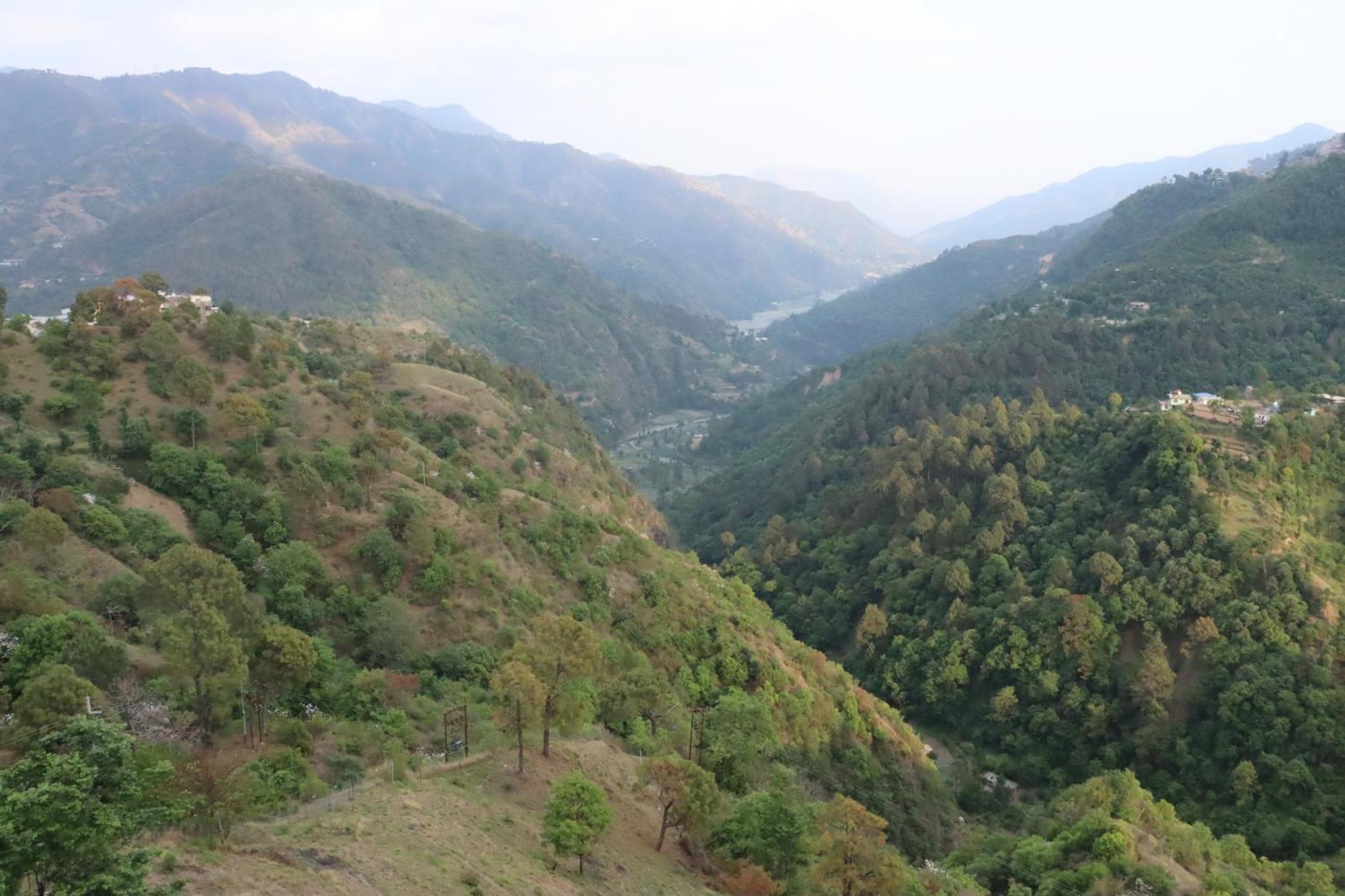 The Ghungrees Solan Exterior foto